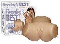 Beverleys Best Torso